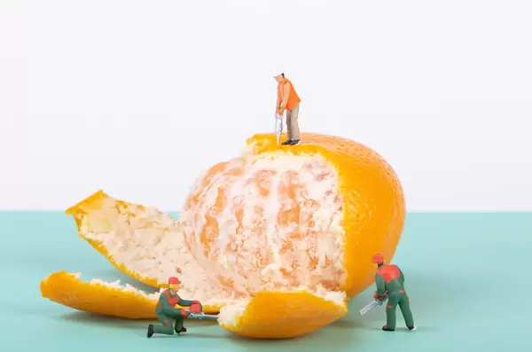 Group of workers opening tangerine