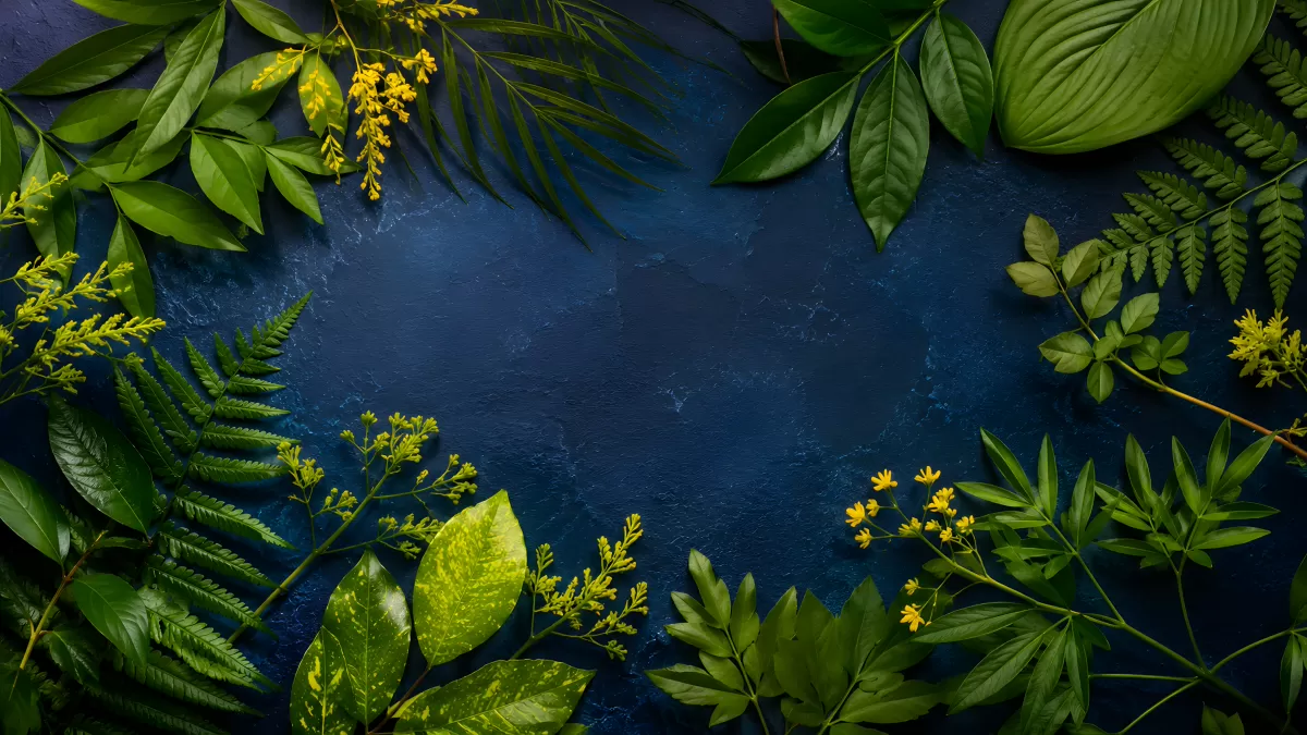 Grüne Blätter und gelbe Blüten auf dunkelblauem Untergrund