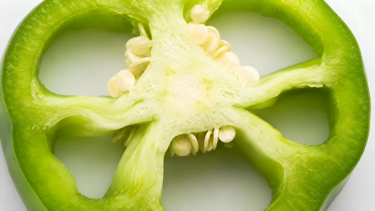 Grüne Paprika im Querschnitt mit Kernen und Stegen