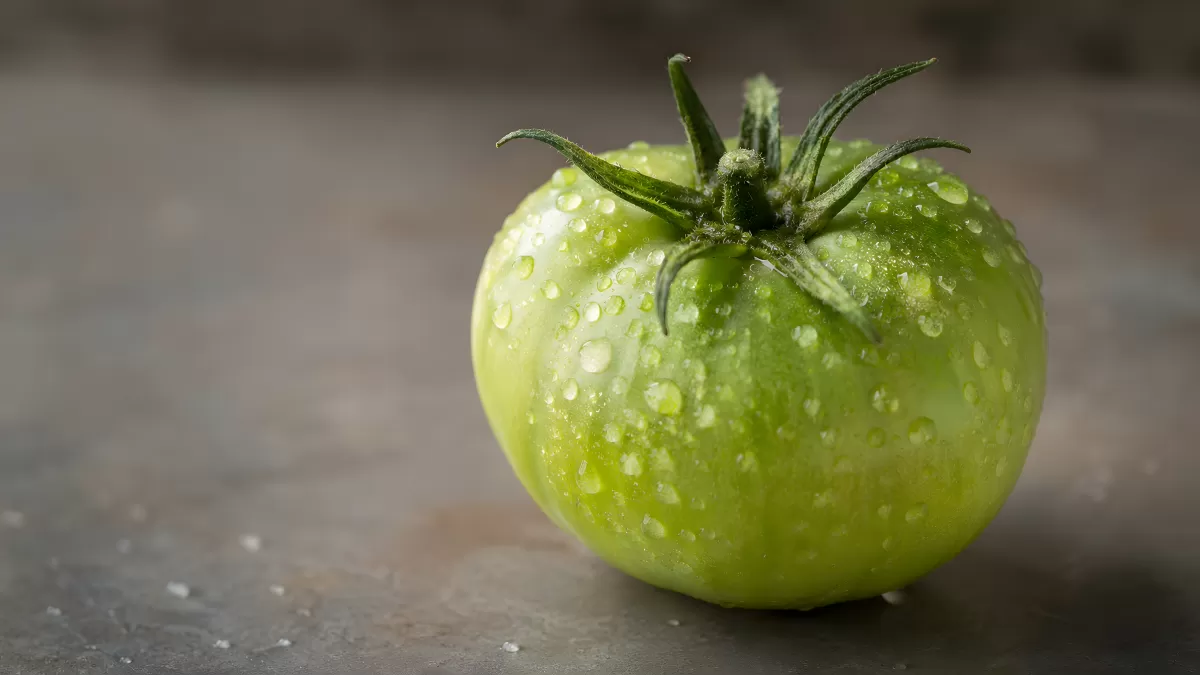Grüne Tomate mit Wassertropfen auf Steinuntergrund