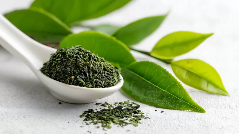 Grüner Tee in Löffel mit frischen Teeblättern auf weißem Hintergrund