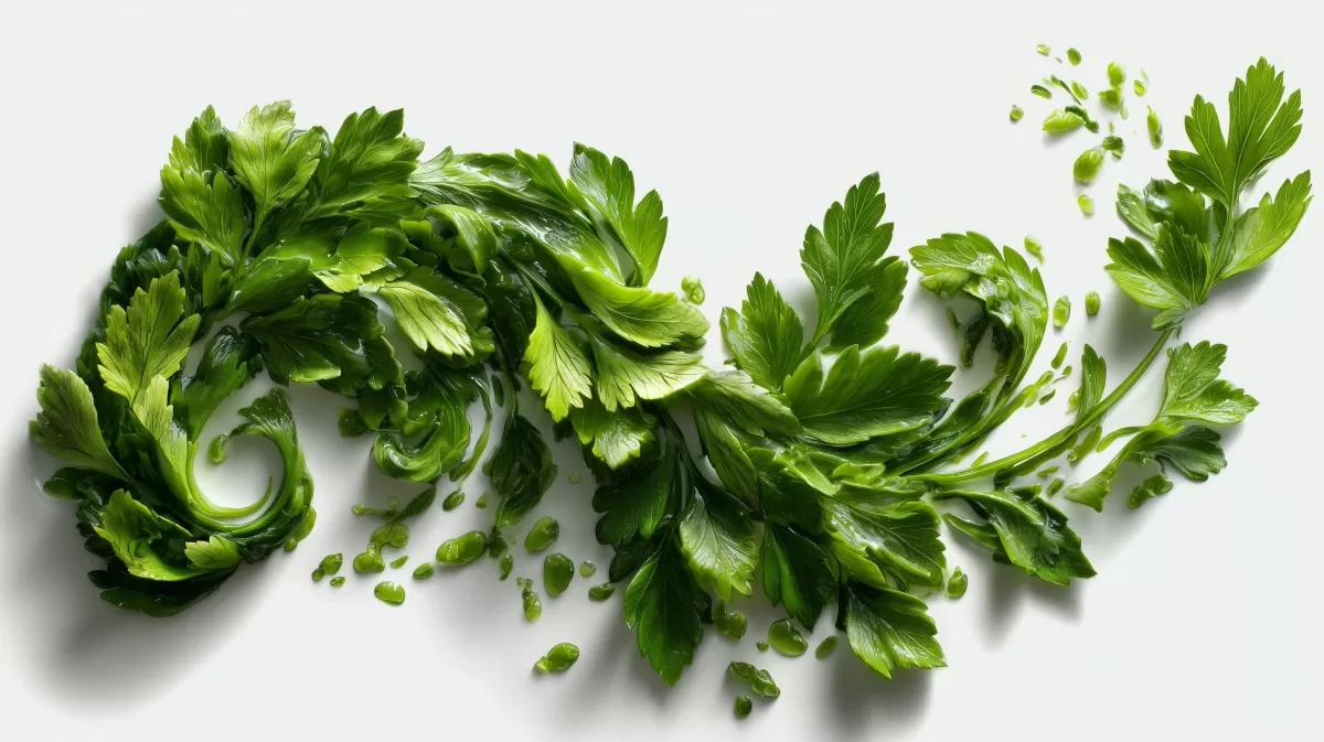 Grüner Wirbelsturm aus frischen Kräutern