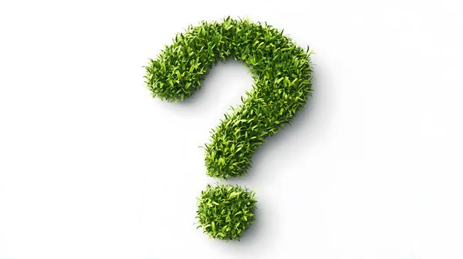 Grünes Fragezeichen aus Blättern auf weißem Hintergrund
