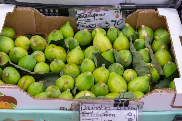 Grüne Feigen in Gemüsekiste am Timeout Market in Lissabon