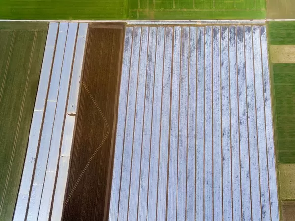 Grüne Felder und Felder unter Folie. Abstrakte Drohnenaufnahme