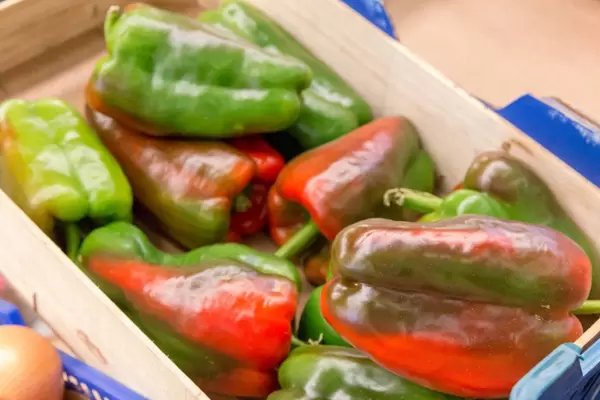 Grüne und rote Paprikas in Holzkiste am Timeout Market in Lissabon