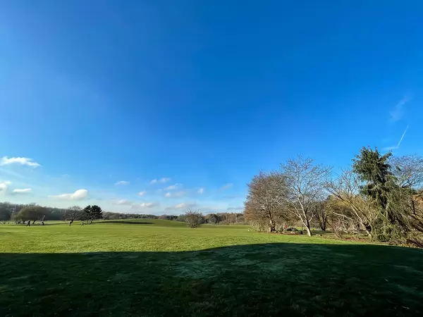 Grüne Wiese und blauer Himmel an einem sonnigen Tag in Dezember am Friedenswald in Köln