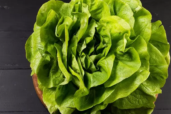 Grüner Kopfsalat auf der schwarzen Tabelle