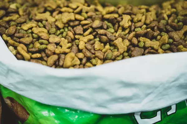 Grüner Sack mit Trockenfutter für Hunde in der Form von Herzen, Kugeln und Kauknochen in braun und grün