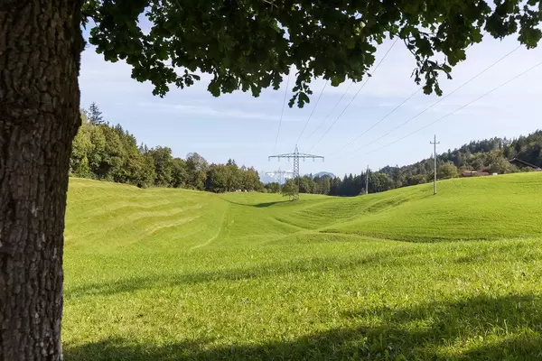 Grünes Feld mit Strommasten und Bäumen in Tirol (Österreich)