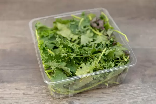 Grünkohl in einem Plastikbehälter