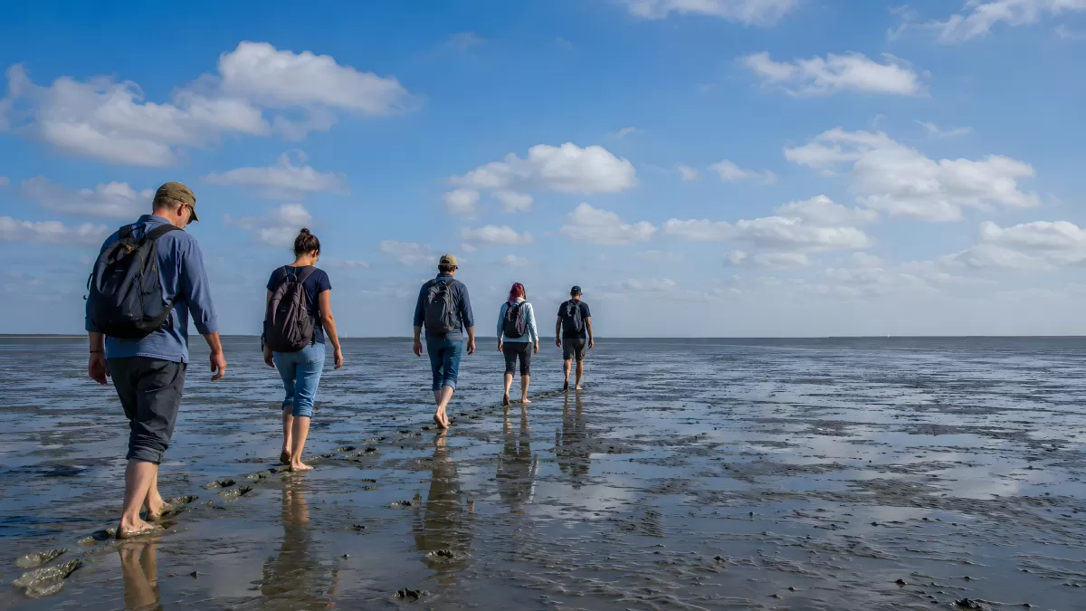 Gruppe wandert barfuß über das Wattenmeer bei Ebbe