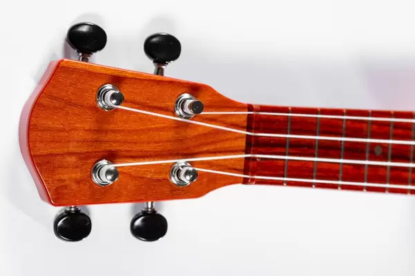 Guitar neck brown close-up