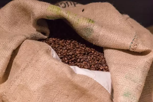 Gunnysack full of coffee beans