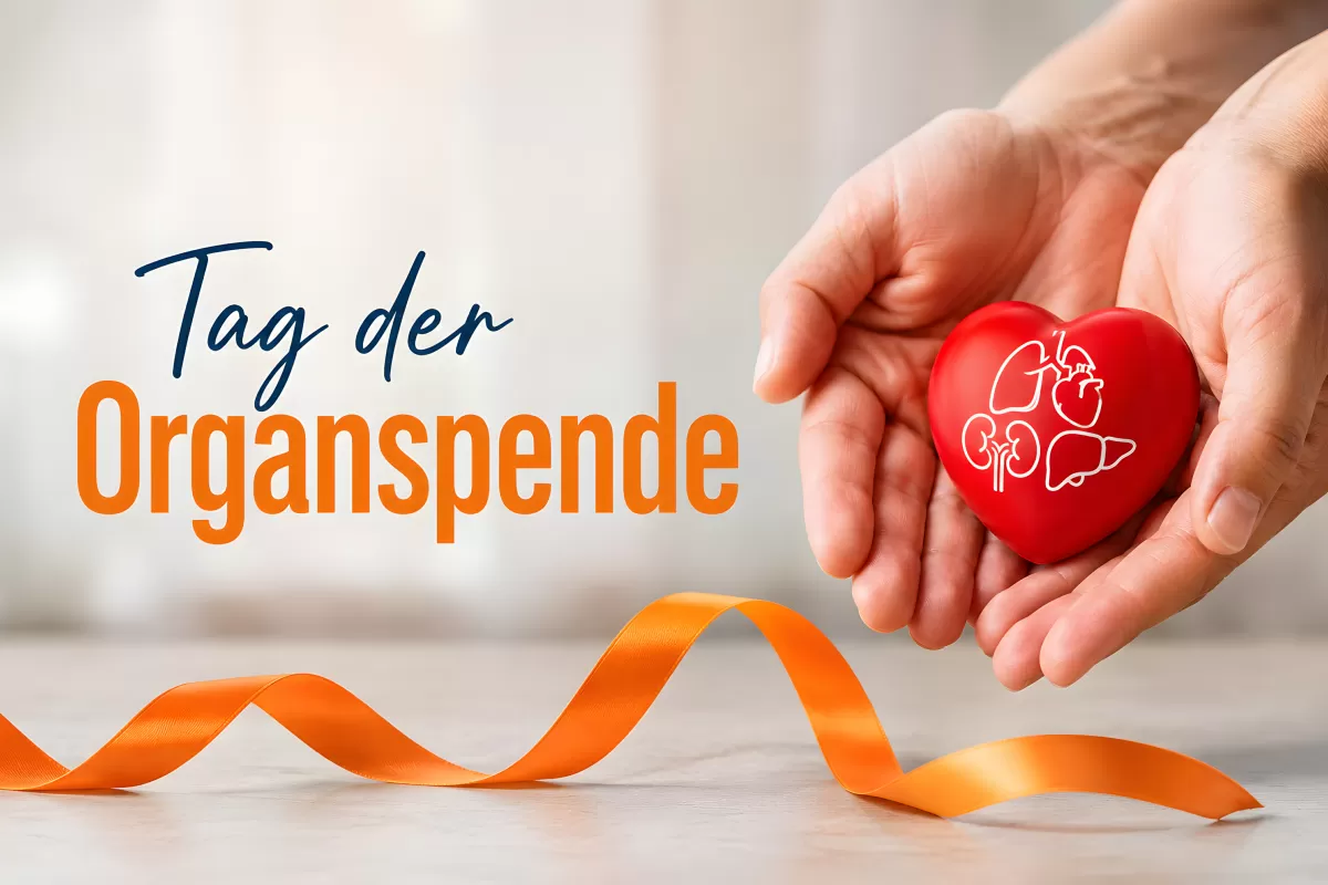 Hände halten rotes Herz zum Tag der Organspende