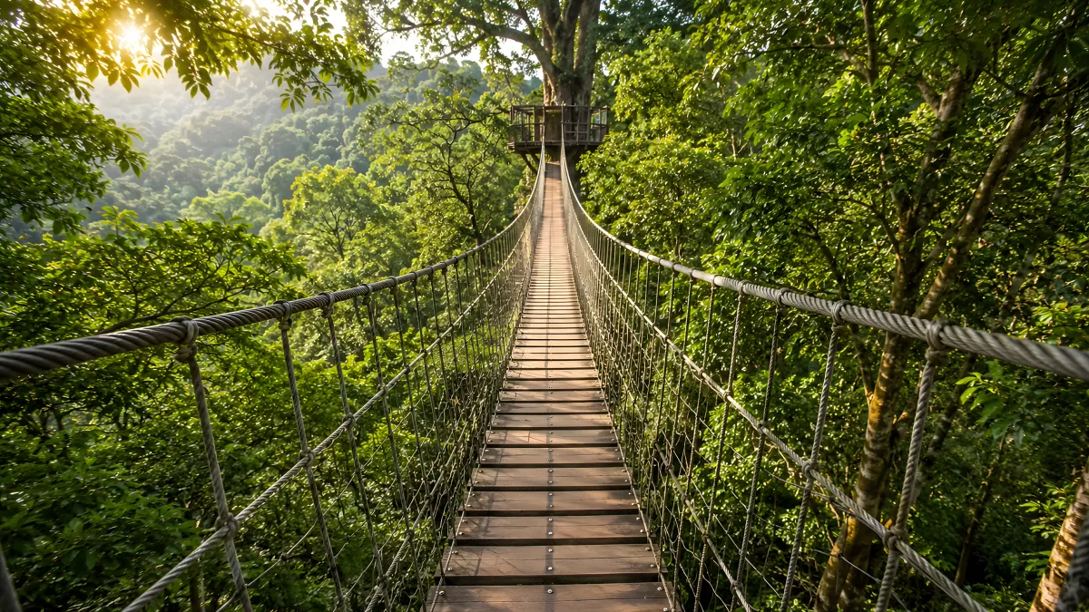 Hängebrücke führt durch tropischen Regenwald