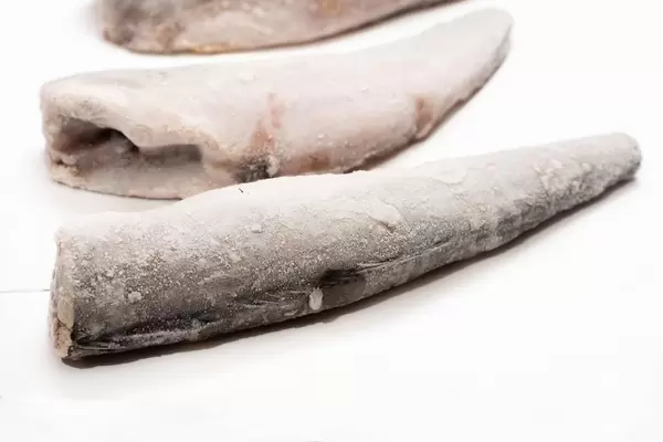 Hake Fish isolated on the white background