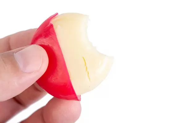 Halb geöffneter und angebissener Babybel-Käse zwischen Fingern gehalten vor weißem Hintergrund