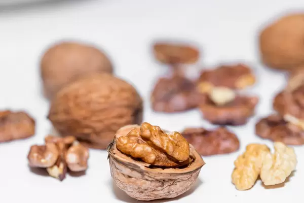Halbe Walnuss mit Walnusskernen und ganzen Walnüssen mit Schärfentiefe