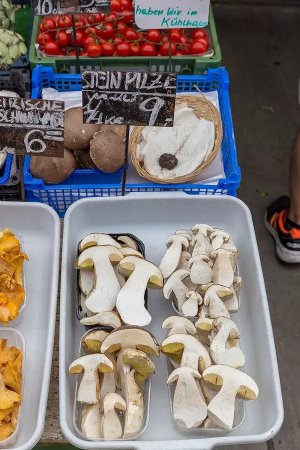 Halbierte Steinpilze an einem Gemüsestand am Naschmarkt