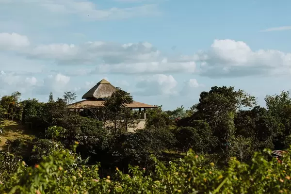 Halboffenes Ferienhaus eingebettet in sattgrünem Wald