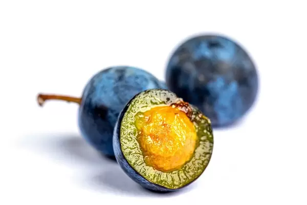 Half and whole blackthorn berries on white