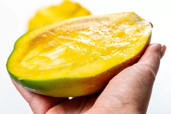 Half ripe mango in female hand close-up (Flip 2019)