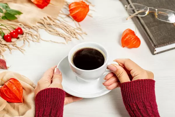 Hallo Herbst: Weibliche Hände halten eine Tasse heiße Kaffee neben einem geschlossenen Buch, bunten Blättern und Hagebutten