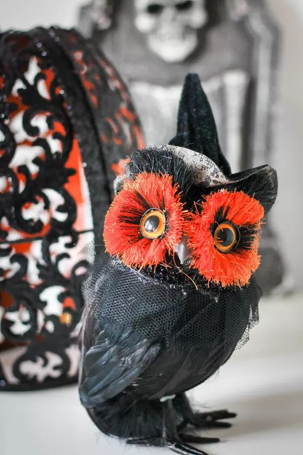 Halloween Black Owl with Witch Hat