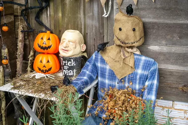 Halloween Decorations with Pumpkins, Plants and Ravens in front of a Wooden House