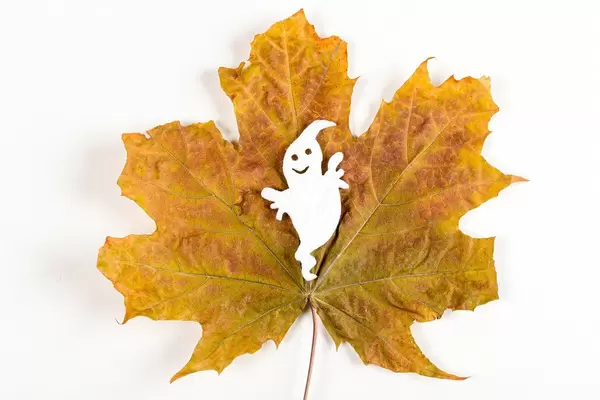 Halloween ghost on dry autumn maple leaf