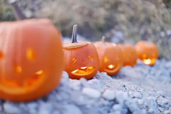 Halloween pumpkin lanterns with candles (Flip 2019)