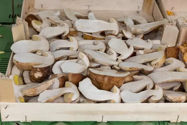 Halved king boletes at a stand at Naschmarkt in Vienna