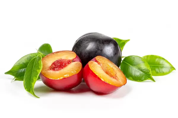 Halves and whole plums on a white background with green leaves