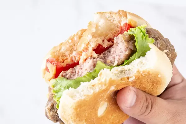 Hamburger with Tomato Lettuce and Sauce in the hand (Flip 2019) (Flip 2019)