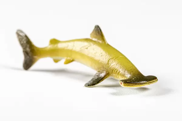 Hammerhead shark toy on white background (Flip 2019)