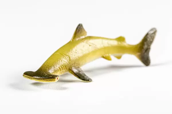 Hammerhead shark toy on white background