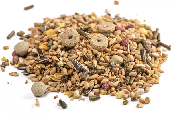 Hamster food heap on a white background
