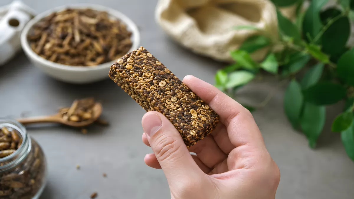 Hand hält Insekten-Proteinriegel aus Mehlwürmern
