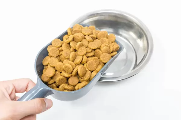 Hand hält eine Futterschaufel voll mit Hills Canine Senior Large Breed 5+ Huhn über dem Hundenapf