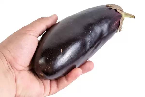 Hand hält eine reife Aubergine vor weißem Hintergrund