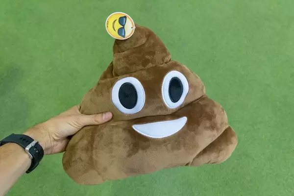 Hand hält Poo, das Häufchen Plüsch vor grünem Hintergrund auf dem BarCamp in Bonn