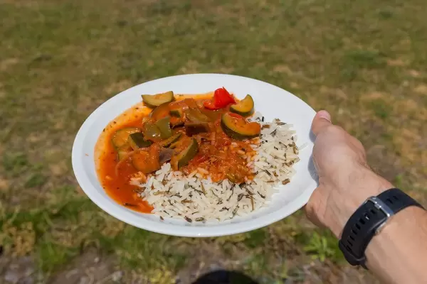 Hand hält veganes Ratatouille aus Zucchini, Tomaten und Zwiebeln mit Wildreis auf dem BarCamp Koblenz