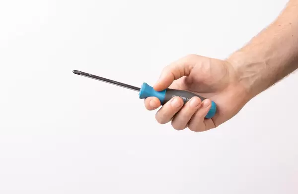 Hand holding a screwdriver (Flip 2019)