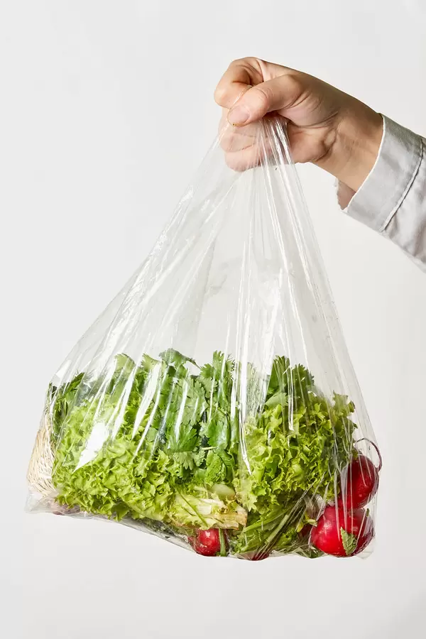 Hand holds a bag of fresh organic vegetables and greens