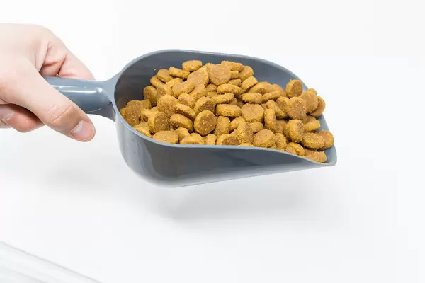 Hand holds dry dog food in a grey scoop on a white background: time for the dog's meal