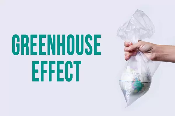 Hand holds globe in the plastic bag - greenhouse effect