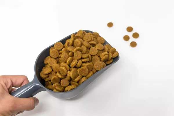 Hand holds scoop with dog food on a white background: Hills Mature Adult 5+ Large Breed with chicken