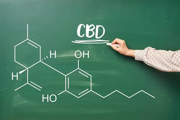 Hand of laboratory worker writing chemical formula of CBD on the chalkboard
