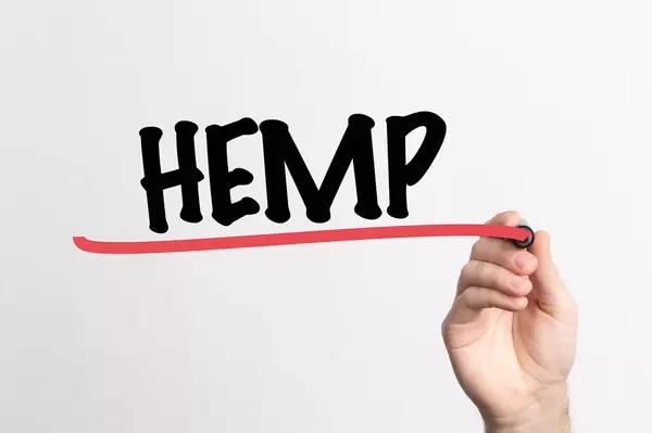 Hand schreibt das Wort "HEMP / Nutzhanf / Industriehanf" auf ein Whiteboard